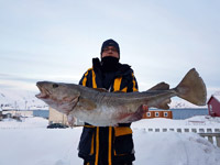 Norwegia, Soroya, wyprawy na ryby fishingdreams